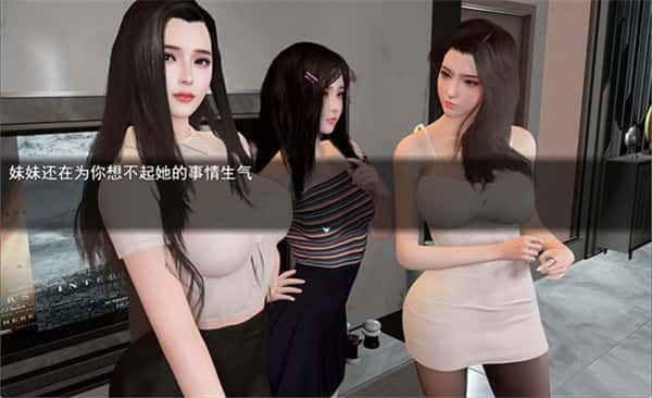 我的幸福人生 存档攻略 资料图 6